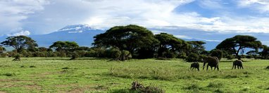 Souvenir du voyage de Paul, Kenya
