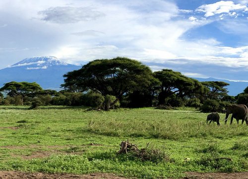 Souvenir du voyage de Paul, Kenya