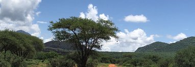 Souvenir du voyage de Paul, Kenya