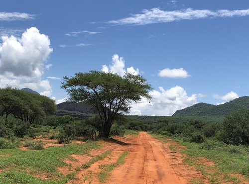 Souvenir du voyage de Paul, Kenya