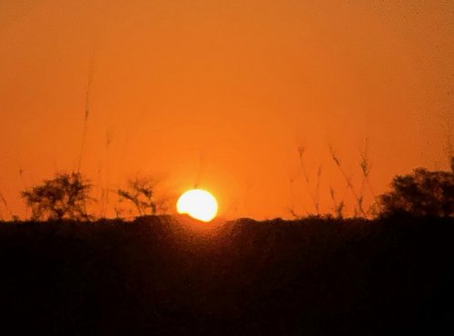 Souvenir du voyage de Joël , Namibie