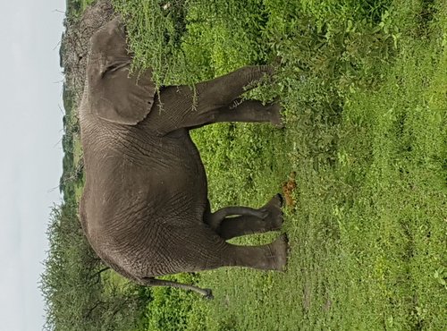 Souvenir du voyage de Paul, Tanzanie