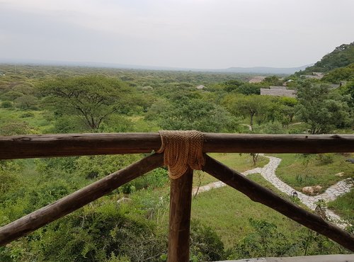 Souvenir du voyage de Paul, Tanzanie