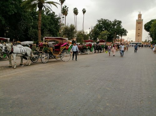 Souvenir du voyage de Jean, Maroc