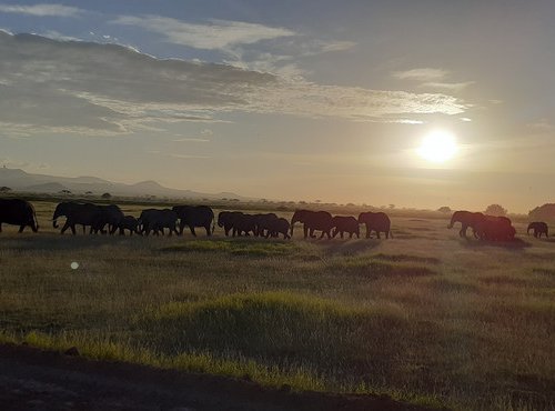 Souvenir du voyage de Sandra, Kenya