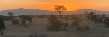 Souvenir du voyage de Severine, Kenya