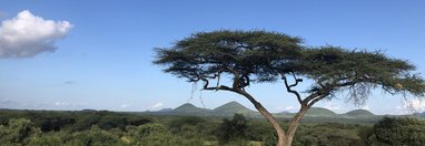 Souvenir du voyage de Severine, Kenya