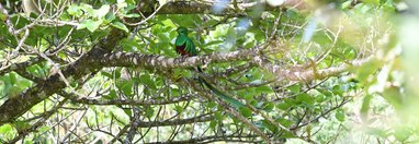 Souvenir du voyage de Sophie, Costa Rica