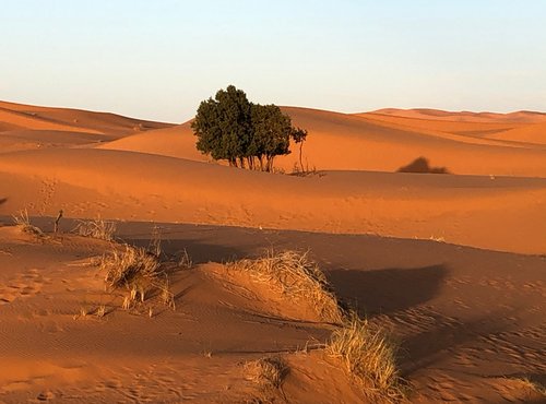 Souvenir du voyage de Wolfgang, Maroc