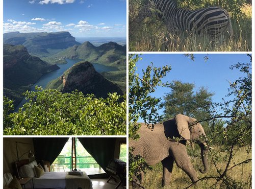 Souvenir du voyage de Françoise, Afrique du Sud