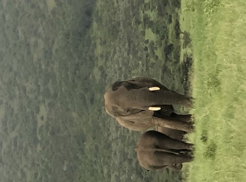 Souvenir du voyage de Marie Eve, Kenya