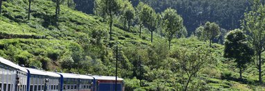 Souvenir du voyage de Pascale, Sri Lanka