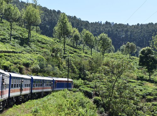 Souvenir du voyage de Pascale, Sri Lanka