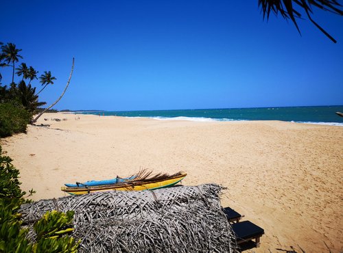 Souvenir du voyage de Pauline, Sri Lanka