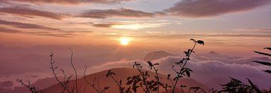 Souvenir du voyage de Pauline, Sri Lanka