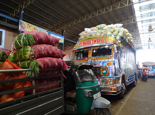 Souvenir du voyage de Pauline, Sri Lanka