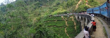 Souvenir du voyage de Pauline, Sri Lanka