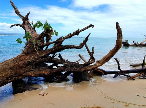Souvenir du voyage de Patricia, Costa Rica