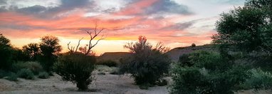 Souvenir du voyage de François, Namibie