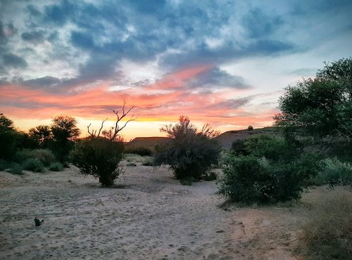 Souvenir du voyage de François, Namibie