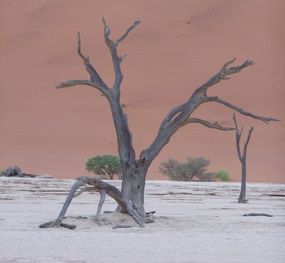 Souvenir du voyage de François, Namibie