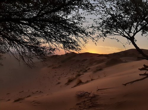 Souvenir du voyage de François, Namibie