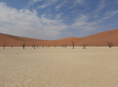 Souvenir du voyage de François, Namibie