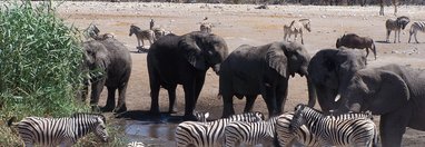 Souvenir du voyage de François, Namibie