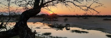 Souvenir du voyage de François, Namibie