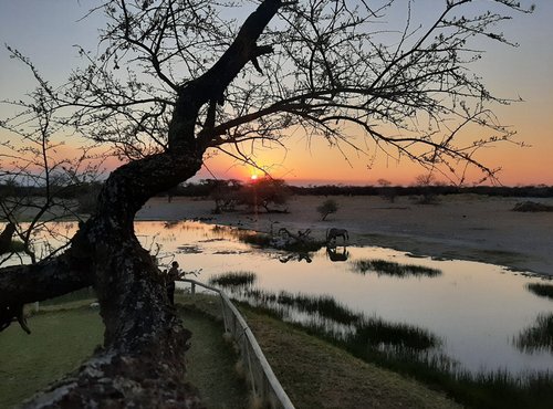 Souvenir du voyage de François, Namibie