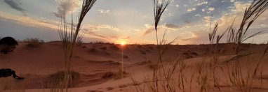 Souvenir du voyage de François, Namibie