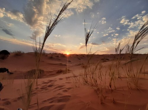 Souvenir du voyage de François, Namibie