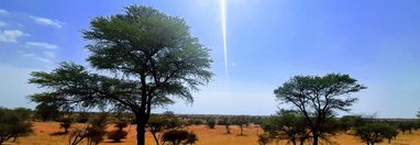 Souvenir du voyage de François, Namibie