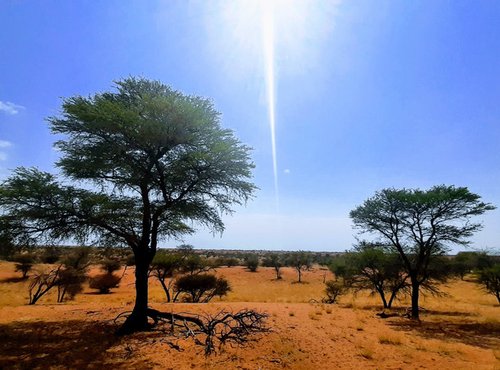 Souvenir du voyage de François, Namibie