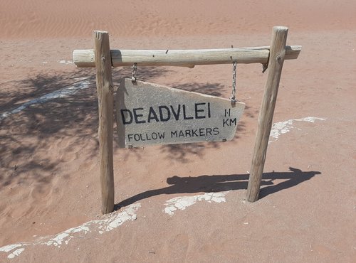 Souvenir du voyage de François, Namibie