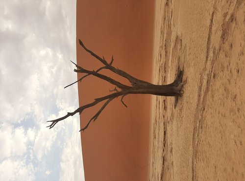 Souvenir du voyage de François, Namibie