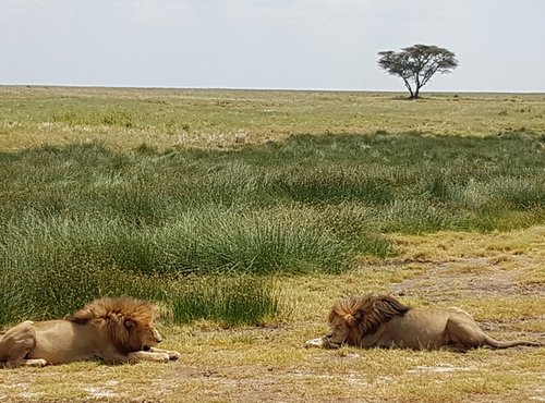 Souvenir du voyage de Emmanuel, Tanzanie