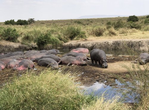 Souvenir du voyage de Emmanuel, Tanzanie