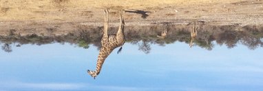 Souvenir du voyage de Bruno, Namibie