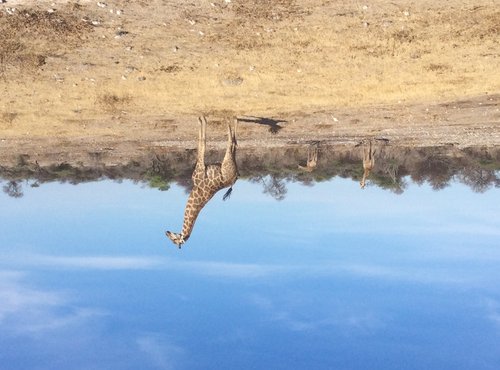 Souvenir du voyage de Bruno, Namibie