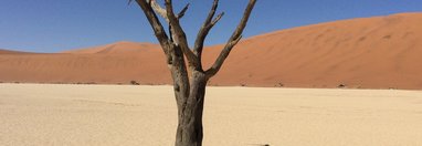 Souvenir du voyage de Bruno, Namibie