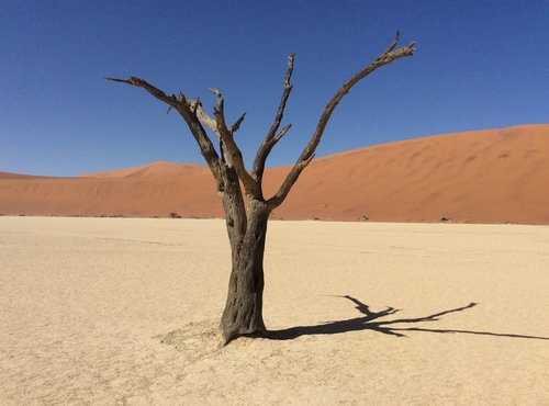 Souvenir du voyage de Bruno, Namibie