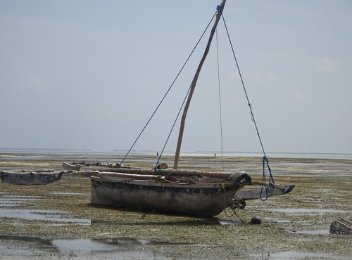 Souvenir du voyage de Jean Francois, Tanzanie