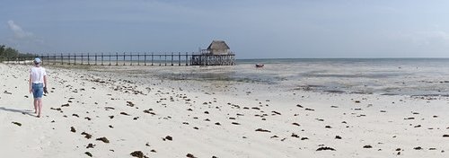 Souvenir du voyage de Jean Francois, Tanzanie