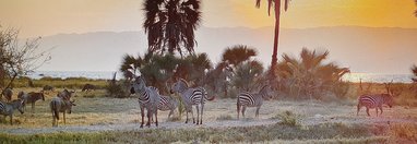 Souvenir du voyage de Maryline, Tanzanie