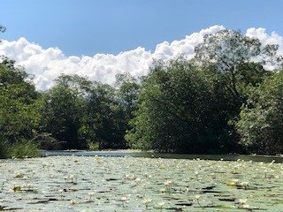 Souvenir du voyage de Claude, Guatemala