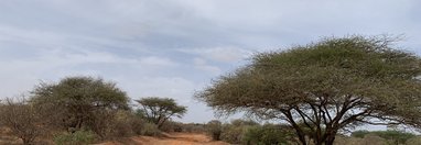 Souvenir du voyage de Tiphaine, Kenya