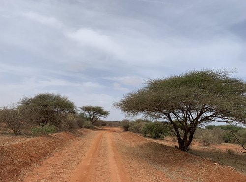 Souvenir du voyage de Tiphaine, Kenya