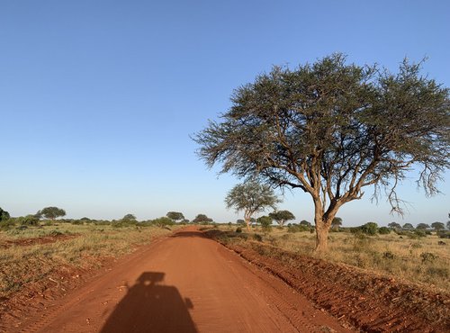 Souvenir du voyage de Tiphaine, Kenya