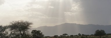 Souvenir du voyage de Tiphaine, Kenya
